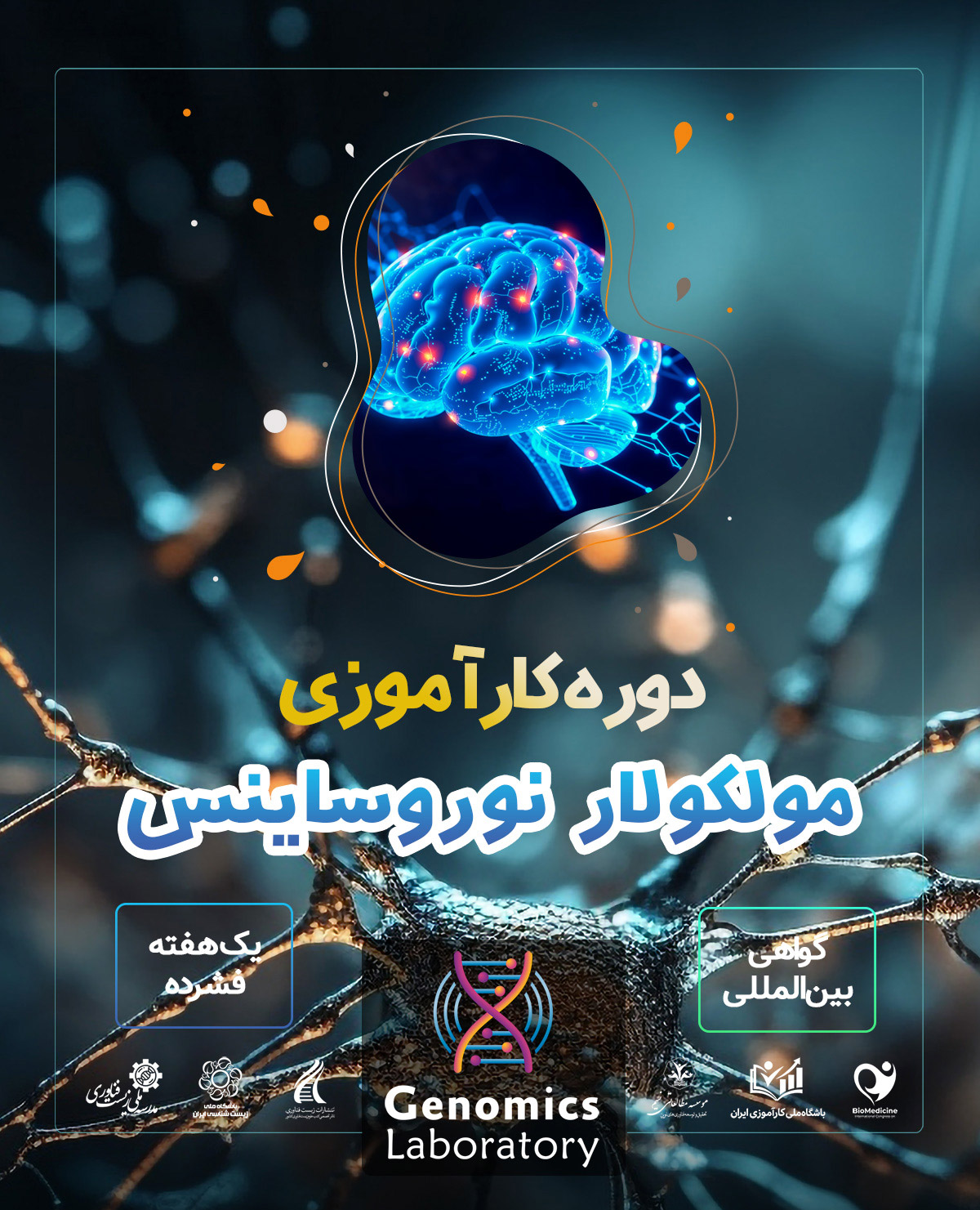 دوره کارآموزی بین المللی مولکولار نوروساینس 
